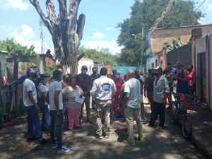 Aragua: 200 familias podrían quedar sin luz ante posible caída de árbol en tendido eléctrico