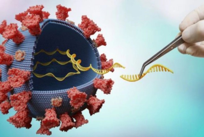 Un sensor de ADN puede detectar en qué momento una persona con Covid-19 es más contagiosa