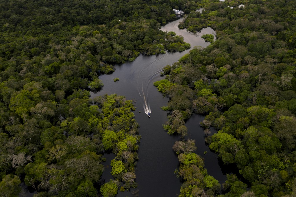 Rescatan más de 200 personas que trabajaban como esclavas en la Amazonía brasileña