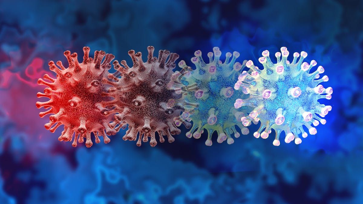 Ómicron… y otras seis variantes activas del coronavirus que preocupan a la OMS
