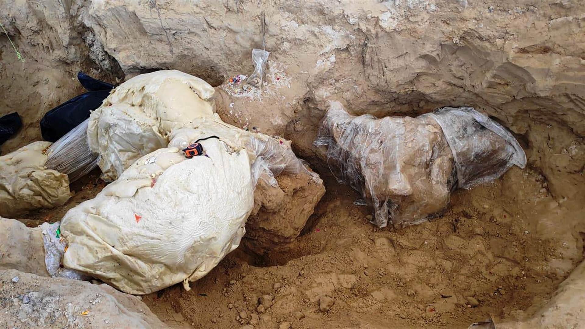 Hallaron en México los restos de un mamut de hace más de 10 mil años (Fotos)