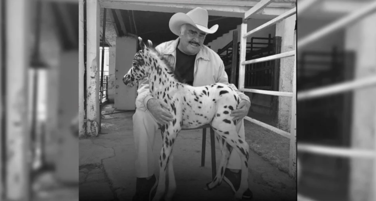 La venta de caballos miniatura: el negocio de Vicente Fernández al márgen de la música