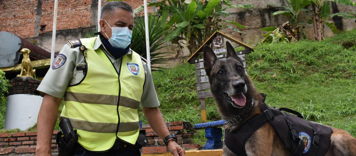 Perros policías: cómo es el entrenamiento de las brigadas caninas en Venezuela