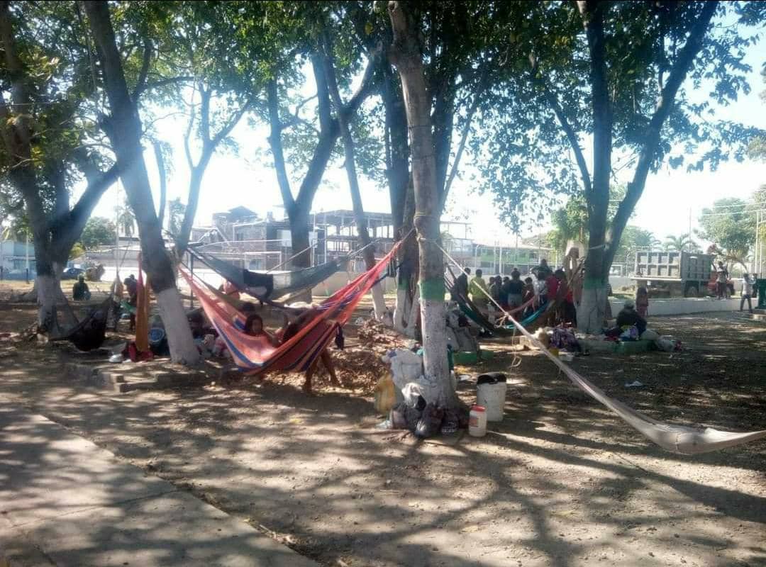 Apure: más de 70 indígenas fueron obligados por el ELN a abandonar sus viviendas en Puerto Páez