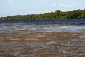 ¿Si el Río Orinoco supera el límite, el muro de contención resistirá?