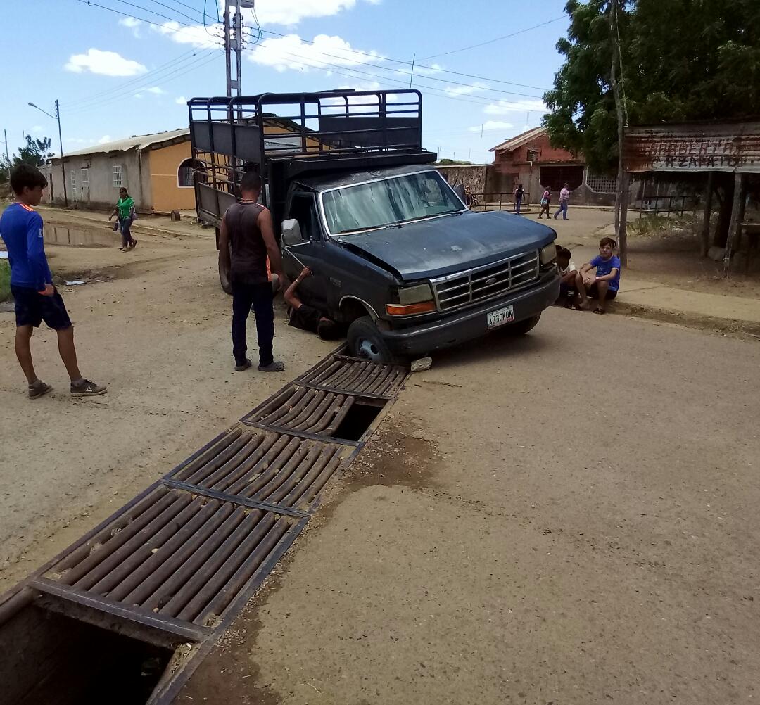 Las calles de Guárico también pasan hambre… porque “se comen” los carros