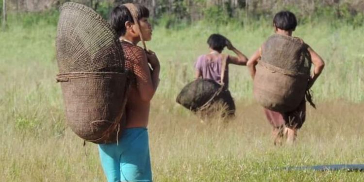 Alertaron que pretenden trasladar a indígena sobreviviente de la tragedia en Amazonas