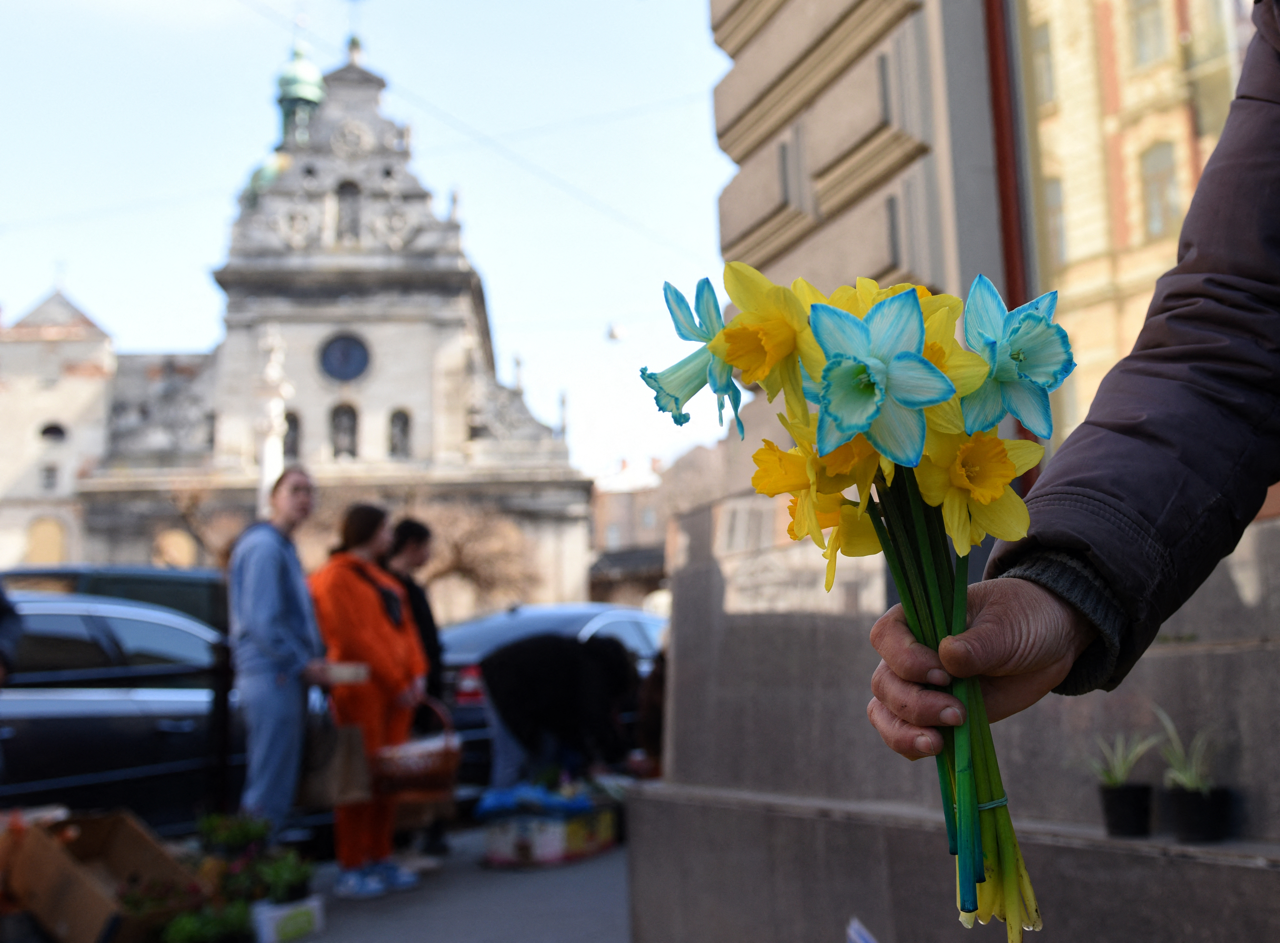 En medio de la invasión, las flores de primavera adquieren tintes patrióticos en Ucrania