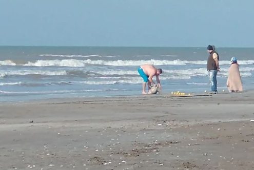 Cazó en una playa un delfín en peligro de extinción y se lo llevó envuelto en una manta