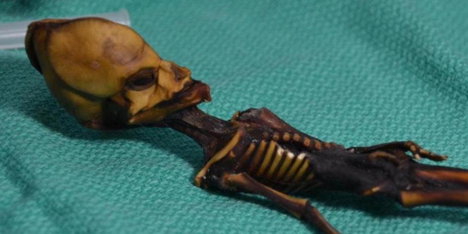 Los secretos de la “momia extraterrestre” hallada en el desierto de Atacama