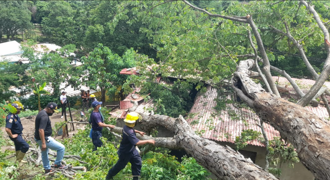 Cuando la bebé raptada en Carabobo volvió con su madre, un árbol cayó sobre la casa