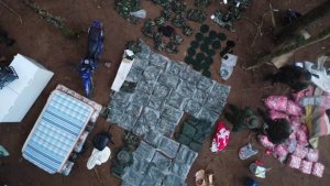 Incautan explosivos en campamento de presuntos narcotraficantes colombianos en Amazonas (Fotos)