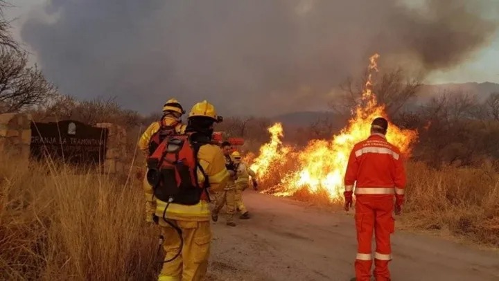 Bombero sobrevivió mientras luchaba contra gigantesco incendio y una serpiente venenosa que lo mordió