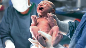 ¿Comer la placenta después del parto tiene beneficios o puede ser perjudicial?