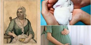 Mary Toft, la mujer que consternó a Inglaterra por “dar a luz a conejos”