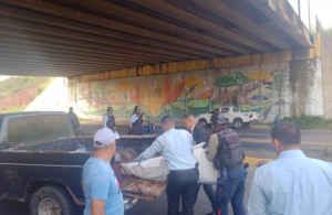 Hombre sin identificación cayó al vacío desde el puente Loyola de Puerto Ordaz