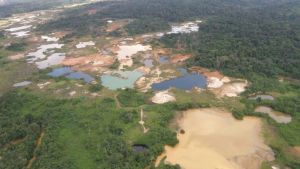 Más de 700 hectáreas han sido deforestadas en el Parque Nacional Yapacana en los últimos dos años