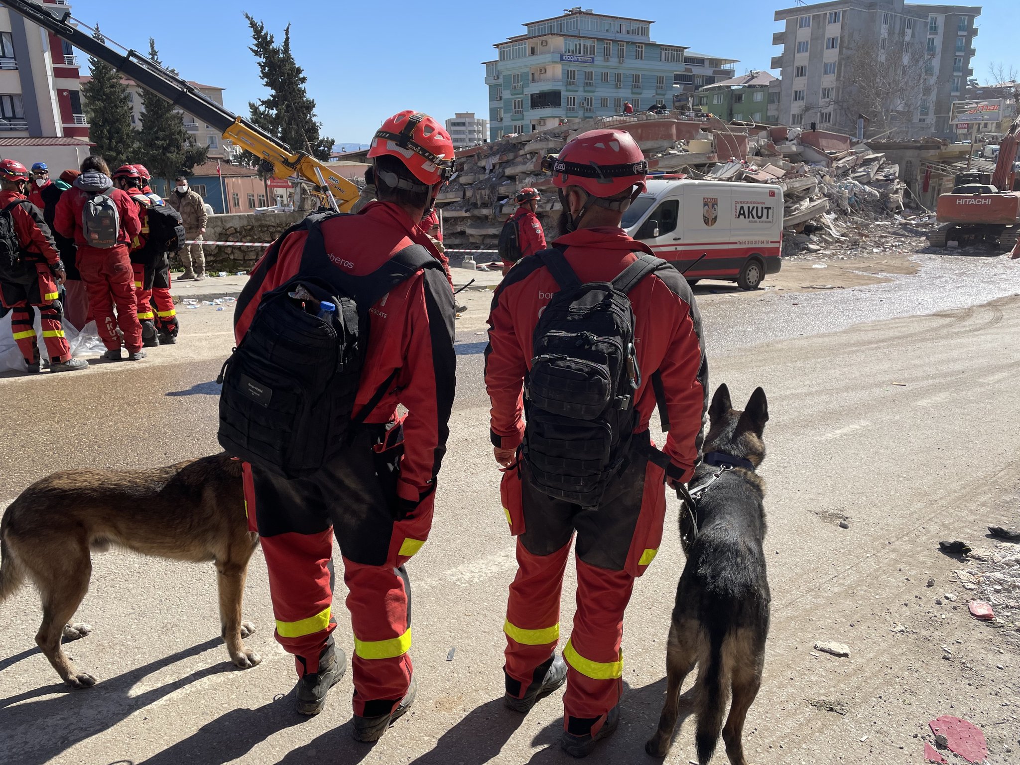 El olfato de un perro, la última esperanza de las víctimas del terremoto