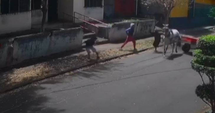 Asaltantes a bordo de una carreta con caballo siembran terror en Managua (Video)