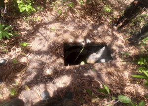Militares inutilizaron túnel para procesamiento de drogas en Bolívar (Fotos)