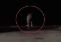 “Es un brujo”: Filmó extraña presencia sin torso y teorías conspirativas inundaron TikTok (VIDEO)