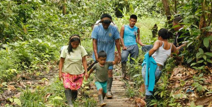 Violencia en frontera colomboecuatoriana desangra al pueblo indígena Awá