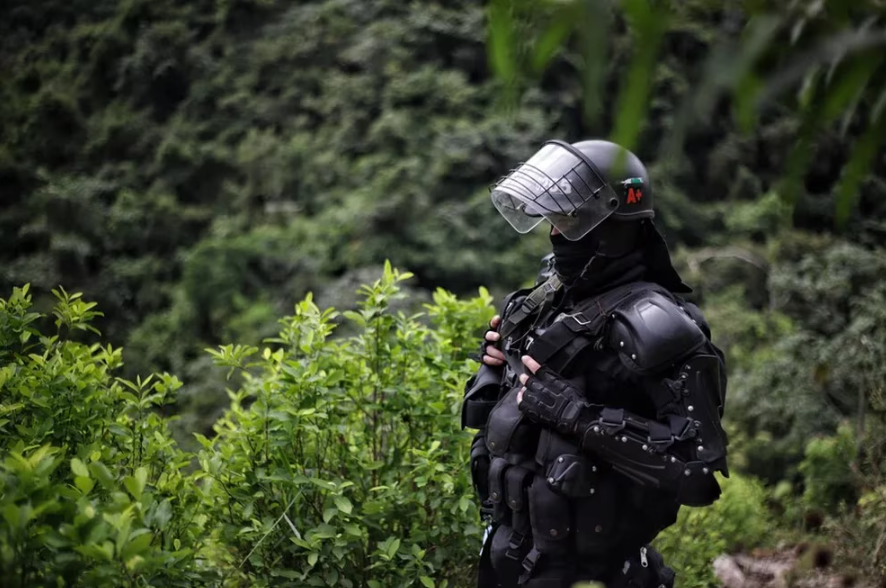 Por qué los carteles mexicanos llevan ingenieros agrónomos a Colombia