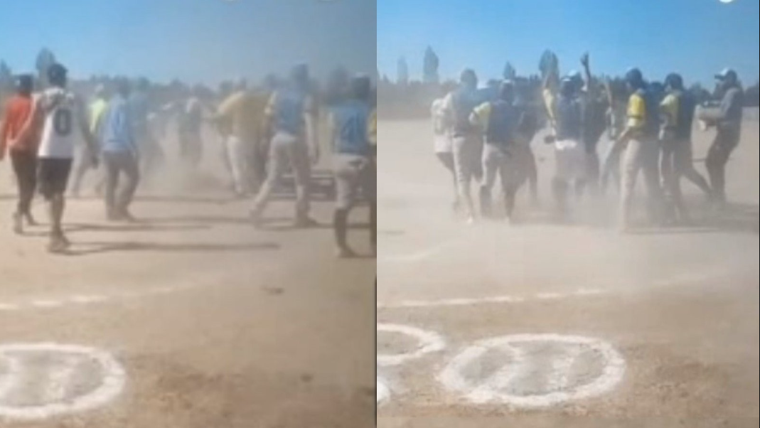 En VIDEO: venezolanos protagonizaron intensa tángana durante juego de sóftbol en Chile