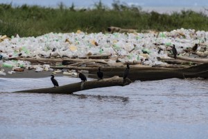 El Río Tuy en Venezuela es el segundo que más aporta plástico en Latinoamérica