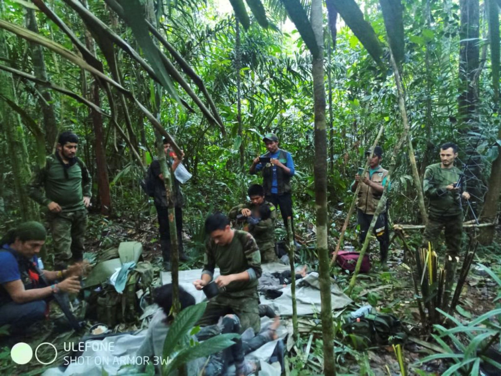 Hembras en celo y 70 uniformados buscan a Wilson, el perro perdido en la selva colombiana