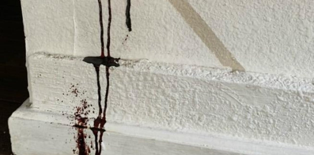 Una sustancia negra chorreaba por el techo de su casa en EEUU y descubrió su macabro origen
