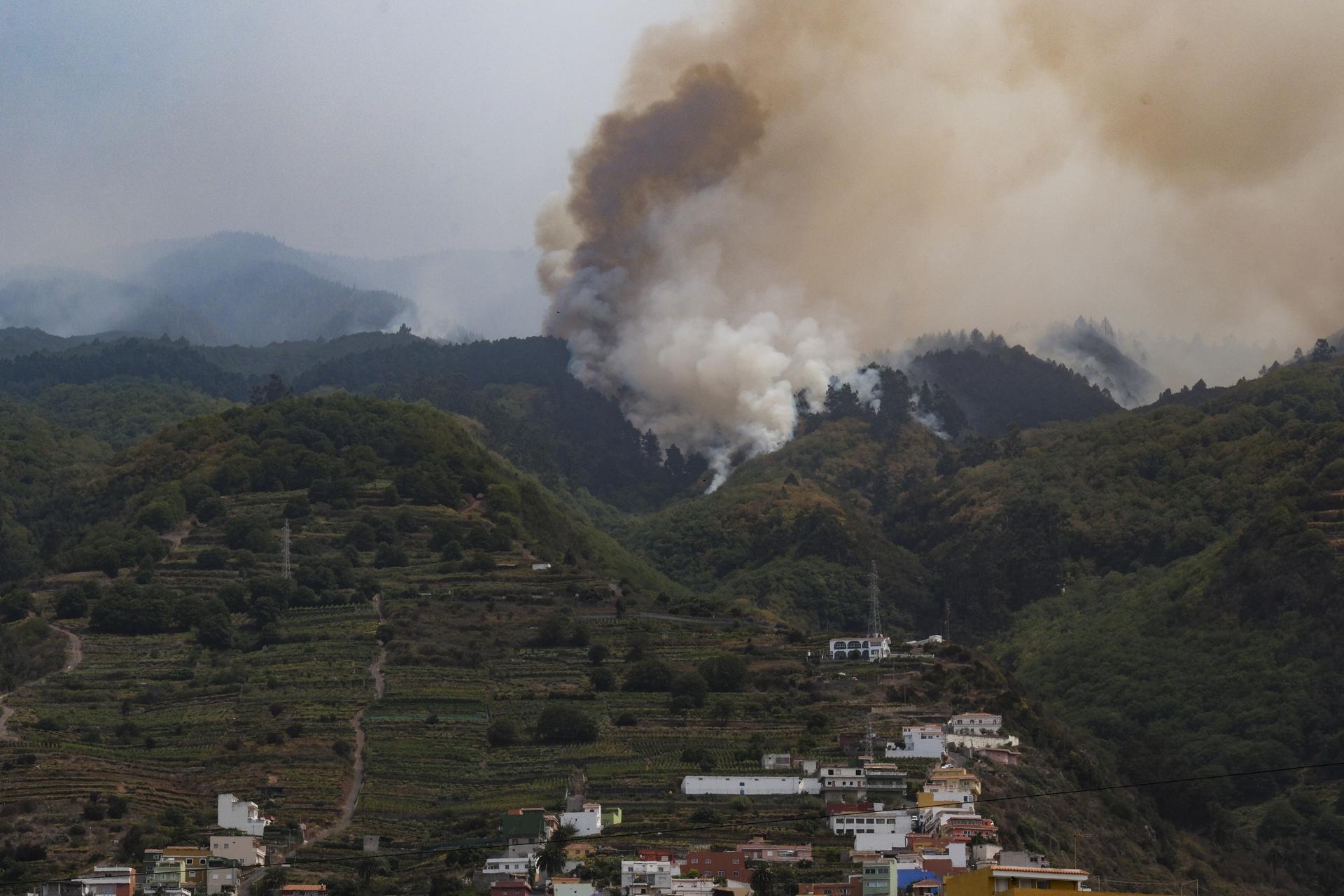 Grandes evacuaciones por voraz incendio forestal en Tenerife que arrasa con 10 mil hectáreas