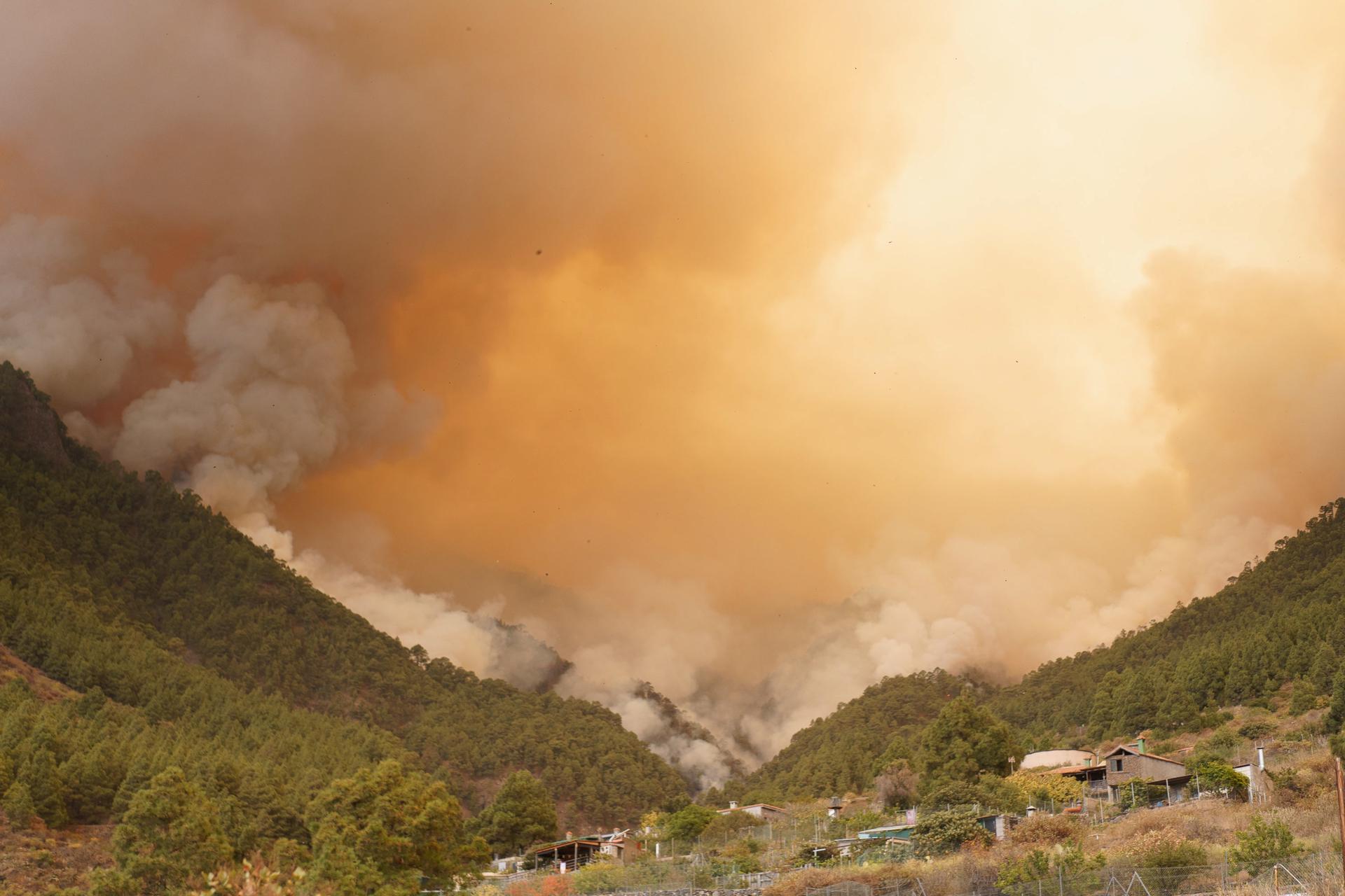 Incendio en la isla canaria de Tenerife consumió 2.600 hectáreas