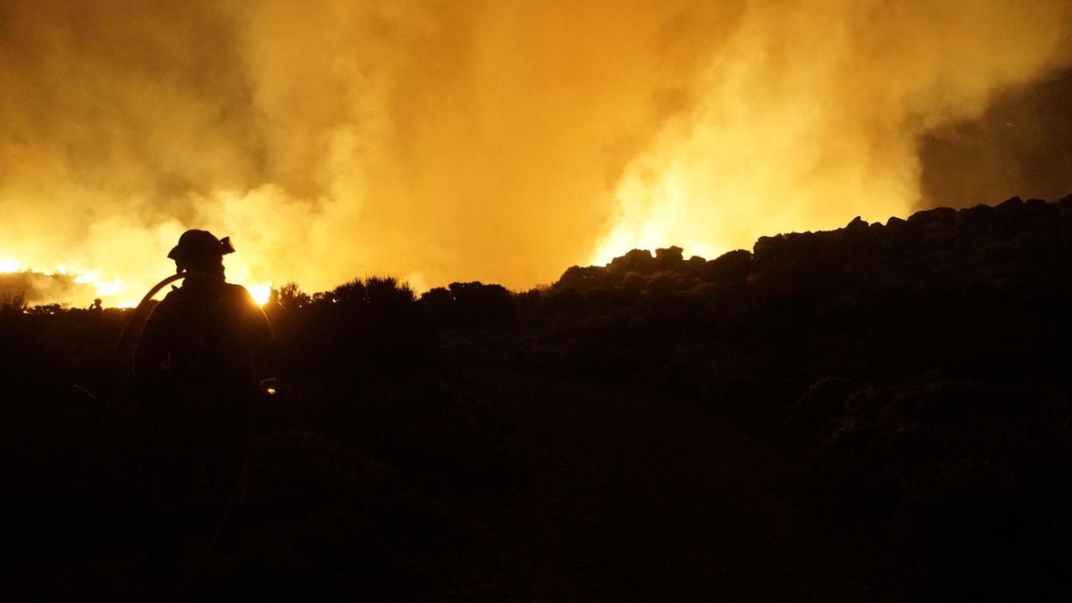 El fuego en la isla de Tenerife, el mayor del año en España, afecta ya a más de 13 mil hectáreas