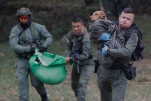 Un policía muere tras la detonación de un carro bomba en el suroeste de Colombia