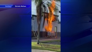 VIDEO: Tanque de propano explotó en restaurante de Miami-Dade y causó gigantesco incendio