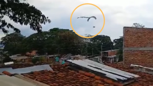 VIDEO: los últimos momentos de parapentista acribillado mientras sobrevolaba Colombia