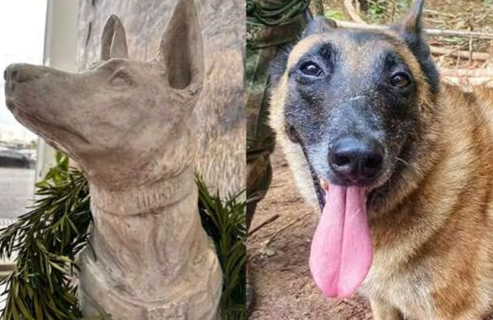 Perro Wilson: guía del canino reveló el “error” por el cual se escapó en la selva