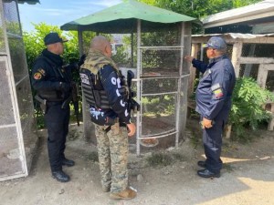 Eighteen exotic species rescued after dismantling a clandestine zoo in Aragua State, Venezuela