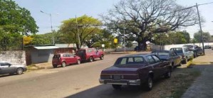 Chavismo surte gasolina a su maquinaria ante el referendo del Esequibo
