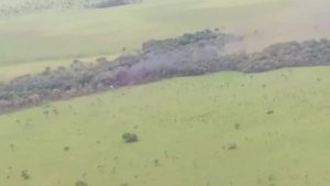 Hallan y decomisan narco-avión oculto en zona boscosa en Apure